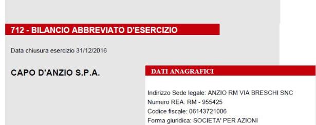 copertinabilanciocapodanzio2016