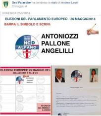 alessandronicampagnaeu